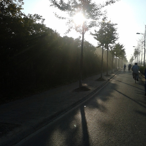 欧美在线播放91
