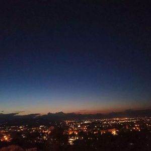 欧美在线播放91
